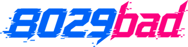 8029bad লোগো